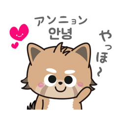 [LINEスタンプ] 使える韓国語♪三つ子のきつねこ『ポート』