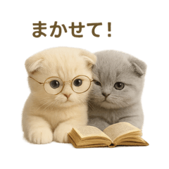[LINEスタンプ] ネコしてます:いつものやつ 4