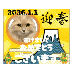 [LINEスタンプ] タロちゃんお正月スタンプ fetchpriority=high