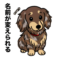 [LINEスタンプ] 名前入りダックスロングチョコダップル