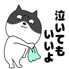 [LINEスタンプ] 【毎日使える】関西弁ネコの猫男