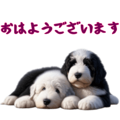 [LINEスタンプ] オールドイングリッシュシープドッグベビー