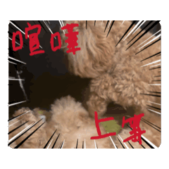 [LINEスタンプ] ぺちのワクワクスタンプanime’s ver 