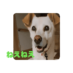 [LINEスタンプ] バニラぱん5 