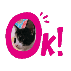 [LINEスタンプ] えびニャンズ 