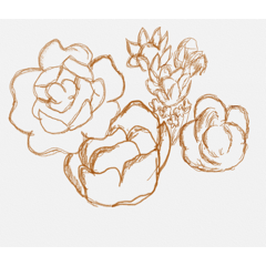 [LINEスタンプ] 草^ ^