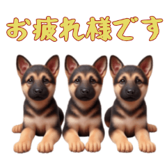 [LINEスタンプ] [お疲れ様です専用]ジャーマンシェパード