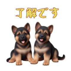 [LINEスタンプ] [了解です専用]ジャーマンシェパードベビー