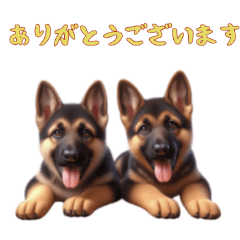 [LINEスタンプ] [ありがとう専用]ジャーマンシェパード