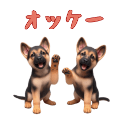 [LINEスタンプ] [オッケー専用]ジャーマンシェパードベビー