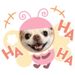 [LINEスタンプ] モッフリー
