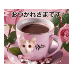 [LINEスタンプ] AIアニメーション ノルウェージャンRiku 
