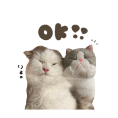 [LINEスタンプ] トトロくん☆スタンダード