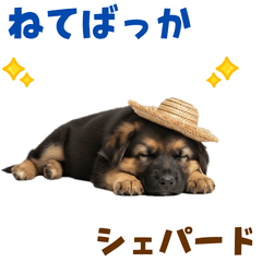 [LINEスタンプ] シェパード子犬の毎日スタンプ