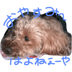 [LINEスタンプ] 人虎の日常わん