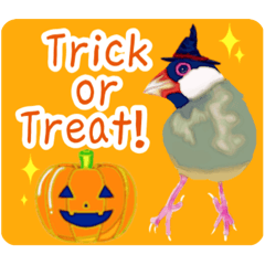 [LINEスタンプ] 文鳥のハロウィン★毎日かわいいスタンプ