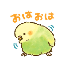 [LINEスタンプ] カラフルインコの超小さいスタンプ