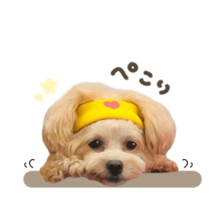 [LINEスタンプ] むぎちゃん.mix