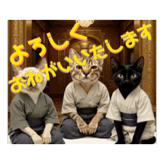 [LINEスタンプ] お酒とネコ好きな日常会話59