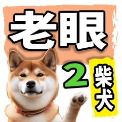 [LINEスタンプ] 老眼でも見える柴犬スタンプ 2