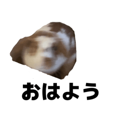 [LINEスタンプ] 朝です。うさぎのフッくん