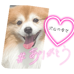 [LINEスタンプ] ドリーちゃん＆ウナくん