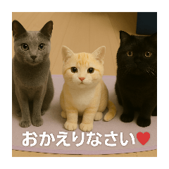 [LINEスタンプ] 大人な猫の日常