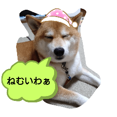 [LINEスタンプ] のんびり毎日2