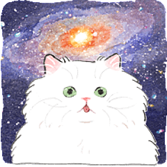[LINEスタンプ] うちの子白猫！(長毛)