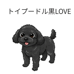 [LINEスタンプ] トイプードル（ブラック）の生活