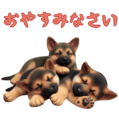 [LINEスタンプ] [おやすみなさい専用]ジャーマンシェパード