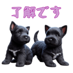 [LINEスタンプ] [了解です専用]スコティッシュテリアベビー