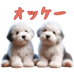 [LINEスタンプ] [オッケー専用]イングリッシュシープドッグ