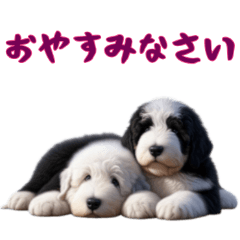 [LINEスタンプ] [お休みなさい]イングリッシュシープドッグ