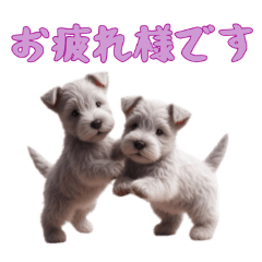 [LINEスタンプ] [お疲れ様専用]スコティッシュテリアベビー