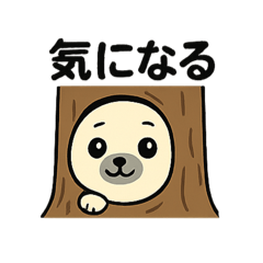 [LINEスタンプ] しろアザラシ fetchpriority=high