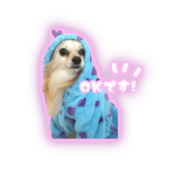[LINEスタンプ] ポメチワのうゆ⑤