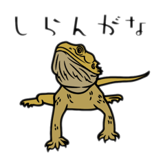 [LINEスタンプ] 爬虫類＆両生類DY