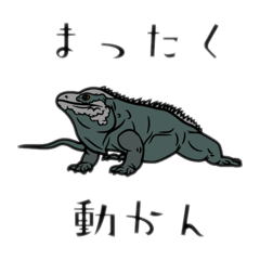 [LINEスタンプ] 爬虫類あるあるDY