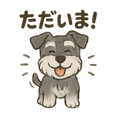 [LINEスタンプ] ミニチュアシュナウザーほっこりスタンプ2