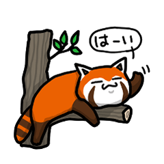 [LINEスタンプ] ハイ！レッサーパンダ