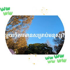 [LINEスタンプ] クメール語シアムリアップ州で日常挨拶体力