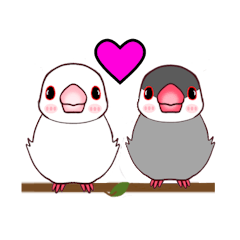 [LINEスタンプ] 桜文鳥の僕と白文鳥のクーミンでーす。