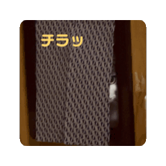 [LINEスタンプ] 福君のスタンプ 