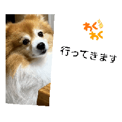 [LINEスタンプ] ドリーちゃん＆ウナくん① 