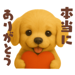 [LINEスタンプ] ゴールデンレトリバーの日常スタンプ！羊毛