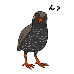 [LINEスタンプ] ヤンバルチクチクイナ