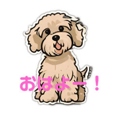 [LINEスタンプ] シュナプーご挨拶1