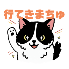 [LINEスタンプ] ハチワレMIRUさんa