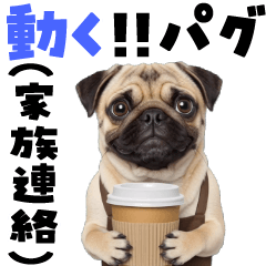[LINEスタンプ] 動く！パグ2【家族連絡】